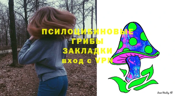 дмт Алзамай