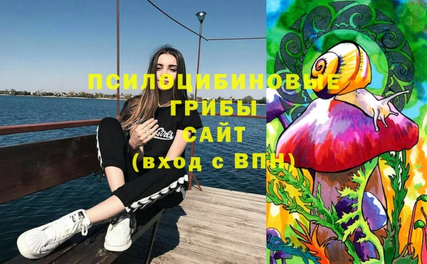 дмт Алзамай