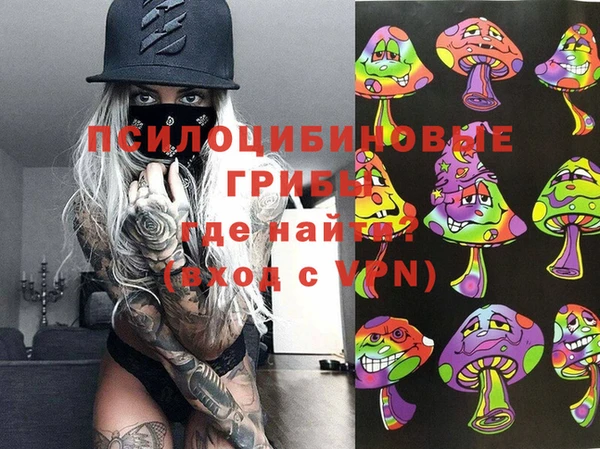 дмт Алзамай