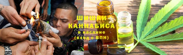 дмт Алзамай