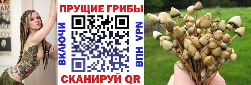 Галлюциногенные грибы мицелий  Калининск 